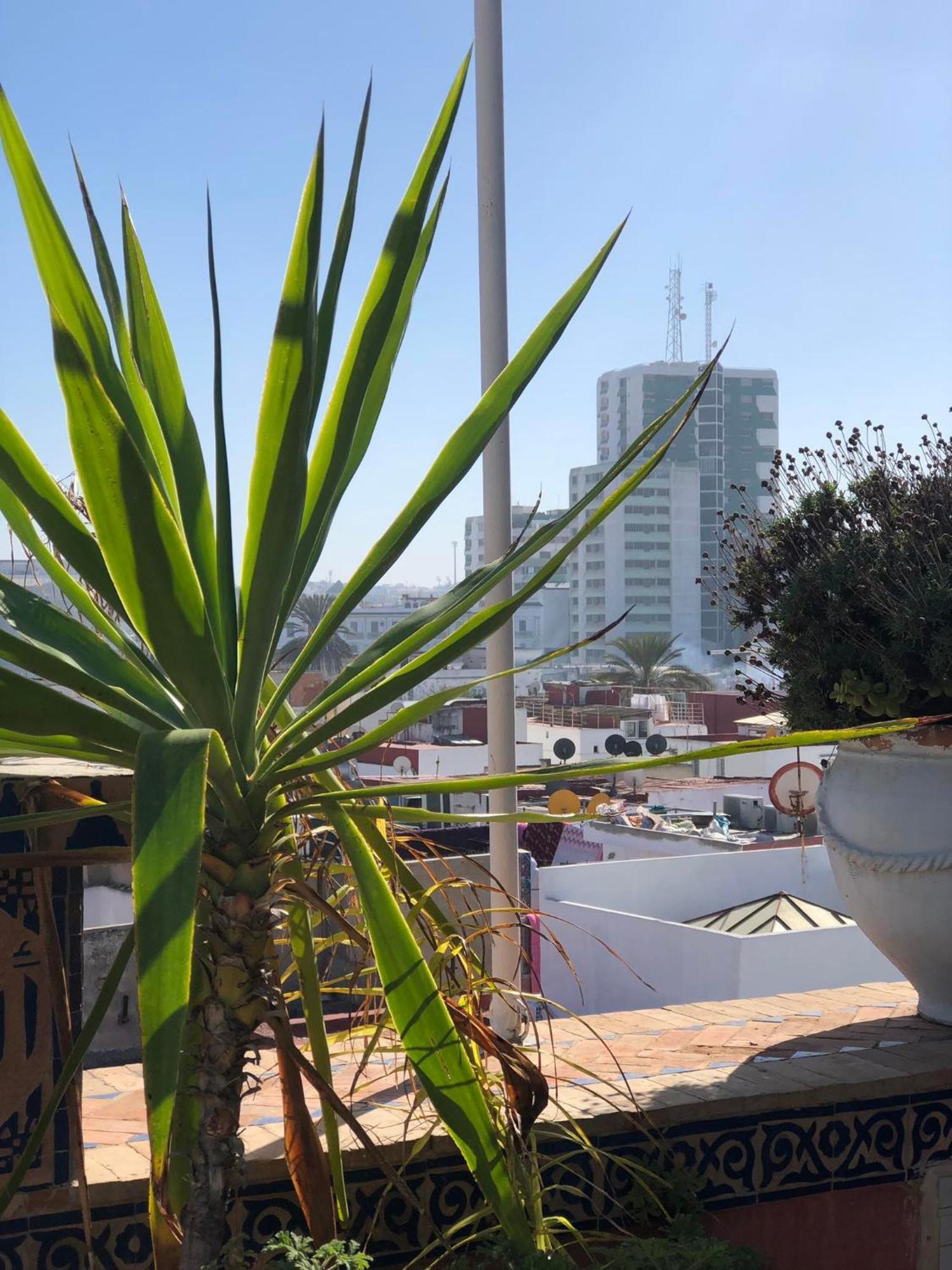 Riad Razoli Sidi Fateh Rabat Zewnętrze zdjęcie