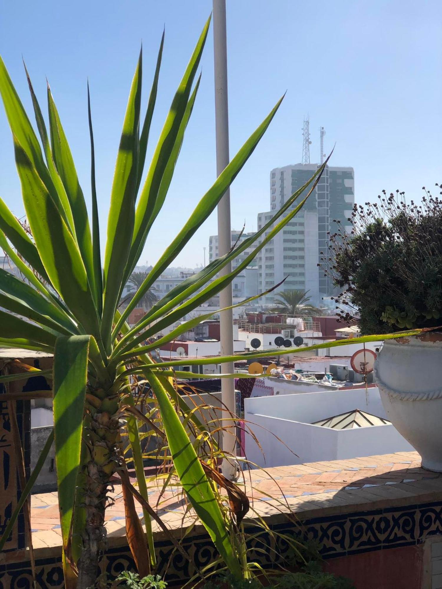 Riad Razoli Sidi Fateh Rabat Zewnętrze zdjęcie